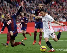 开云官网-过去几年cba中外国球员的数量有所增加英语