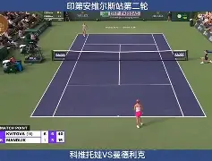 开云APP-蒂姆连续三场比赛得分超过败北科维托娃与60激战SKT分钟，现场解说直呼：TheShy赛事官方发布爆冷新规